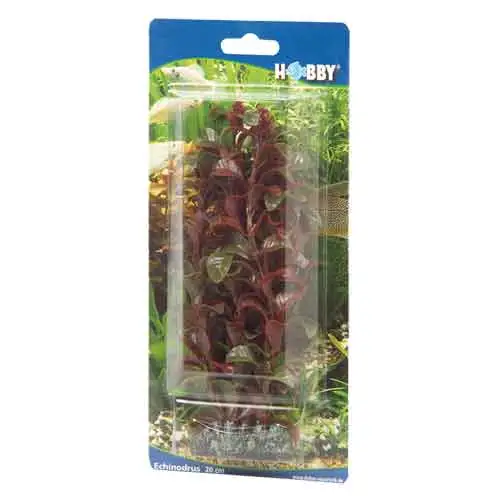 Hobby Rotala 30 cm